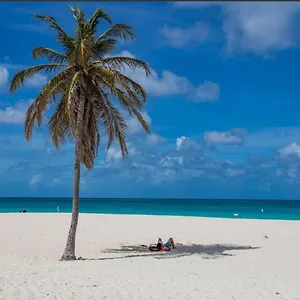 Aparthotel Ocean View Overlooking The Caribbean Sea, Oranjestad