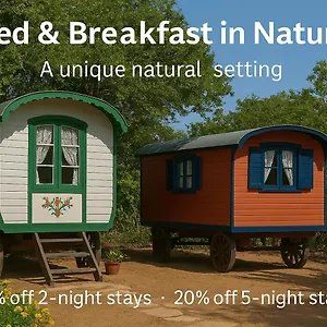 Bed & Breakfast Mammaloe, Oranjestad